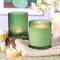 10 OZ Green Candle Jars for Making Candles Set of 8, Ribbed Glass Candle Jars with Wood Lids and Labels, Candle Containers for DIY, Gifts, Home Decoration